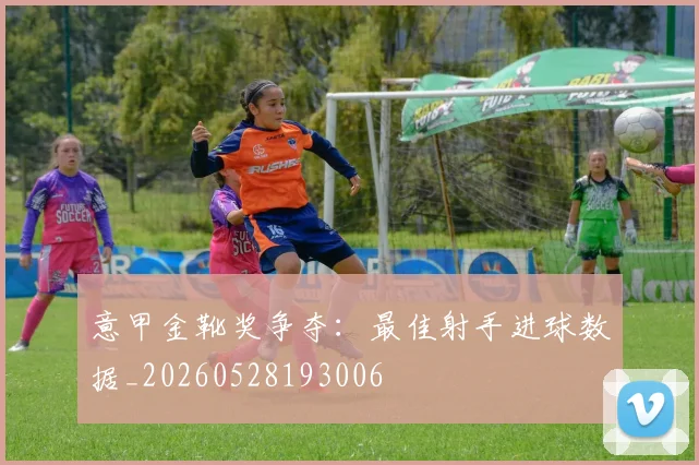 意甲金靴奖争夺:最佳射手进球数据_20260528193006