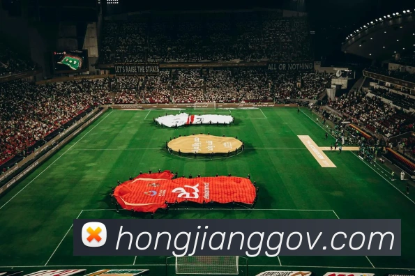 企业概况